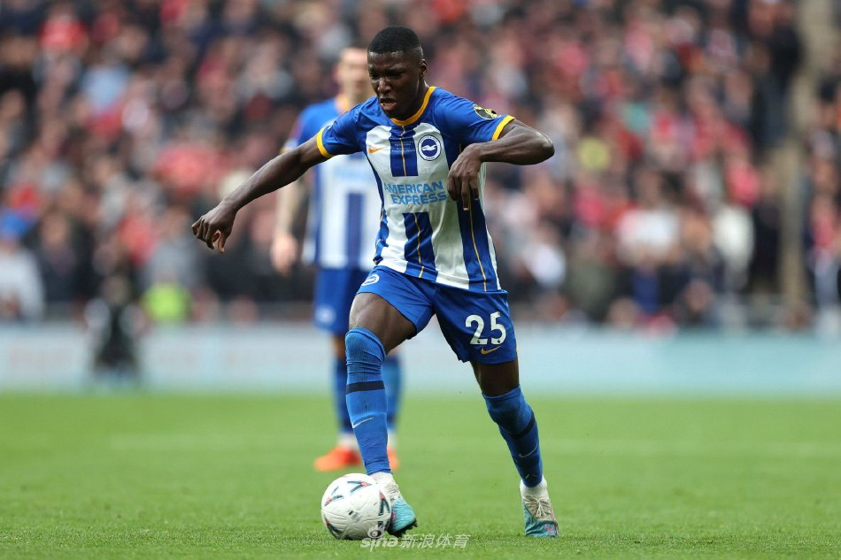 双塔中占据 双塔中占据